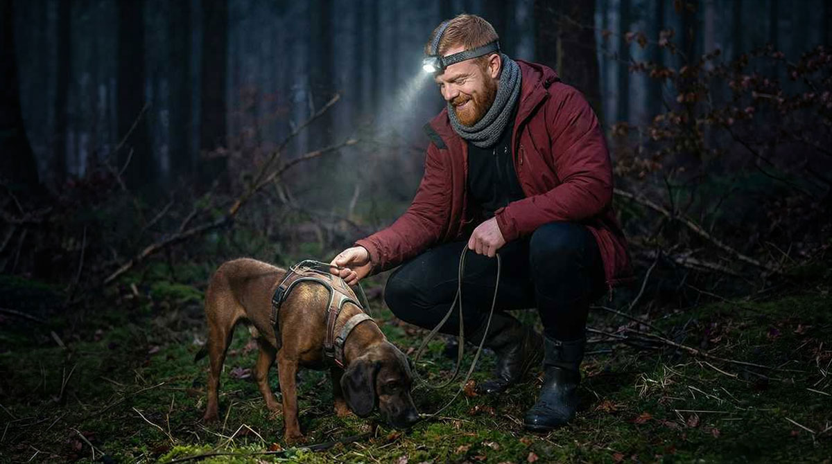 Hundedrückband, Gehölz-Wald, Nachtlampe, Kopflampe, Outdoors-Aktivität