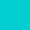 105909.V48.S007