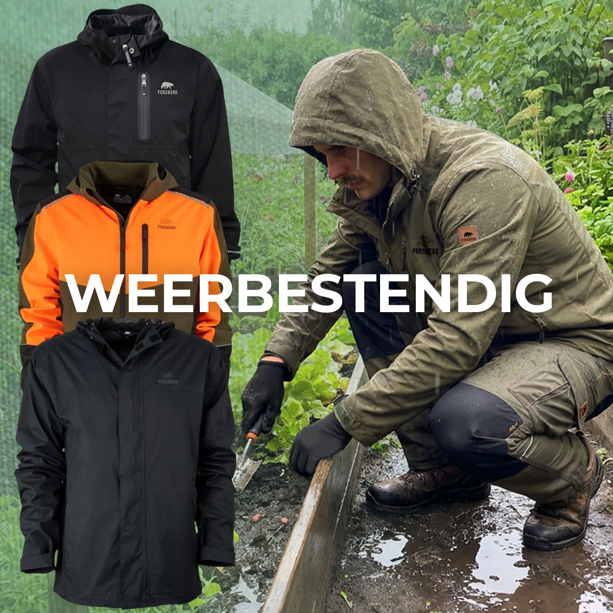 Regenjacke, Outdoorjacke, Kapuzenjacke, Wetterfest, Farbvariante
