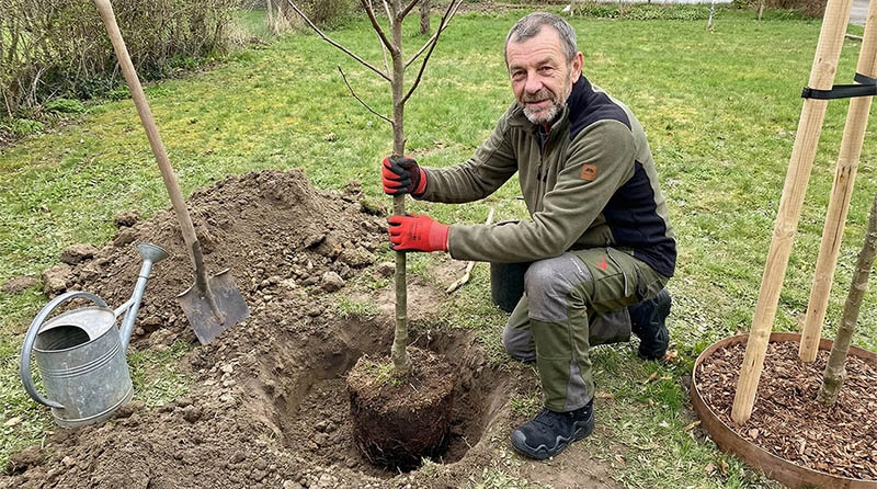 baum pflanzen, pflanzloch, handwerk, gartengerät, holzpflock