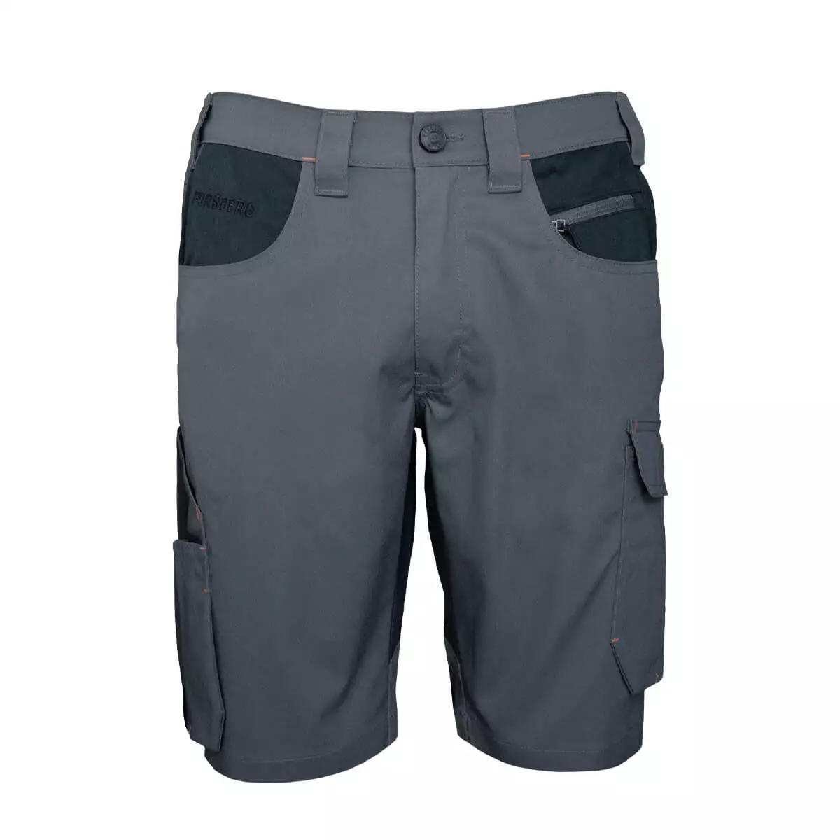 FORSBERG Braxa II Shorts - 1