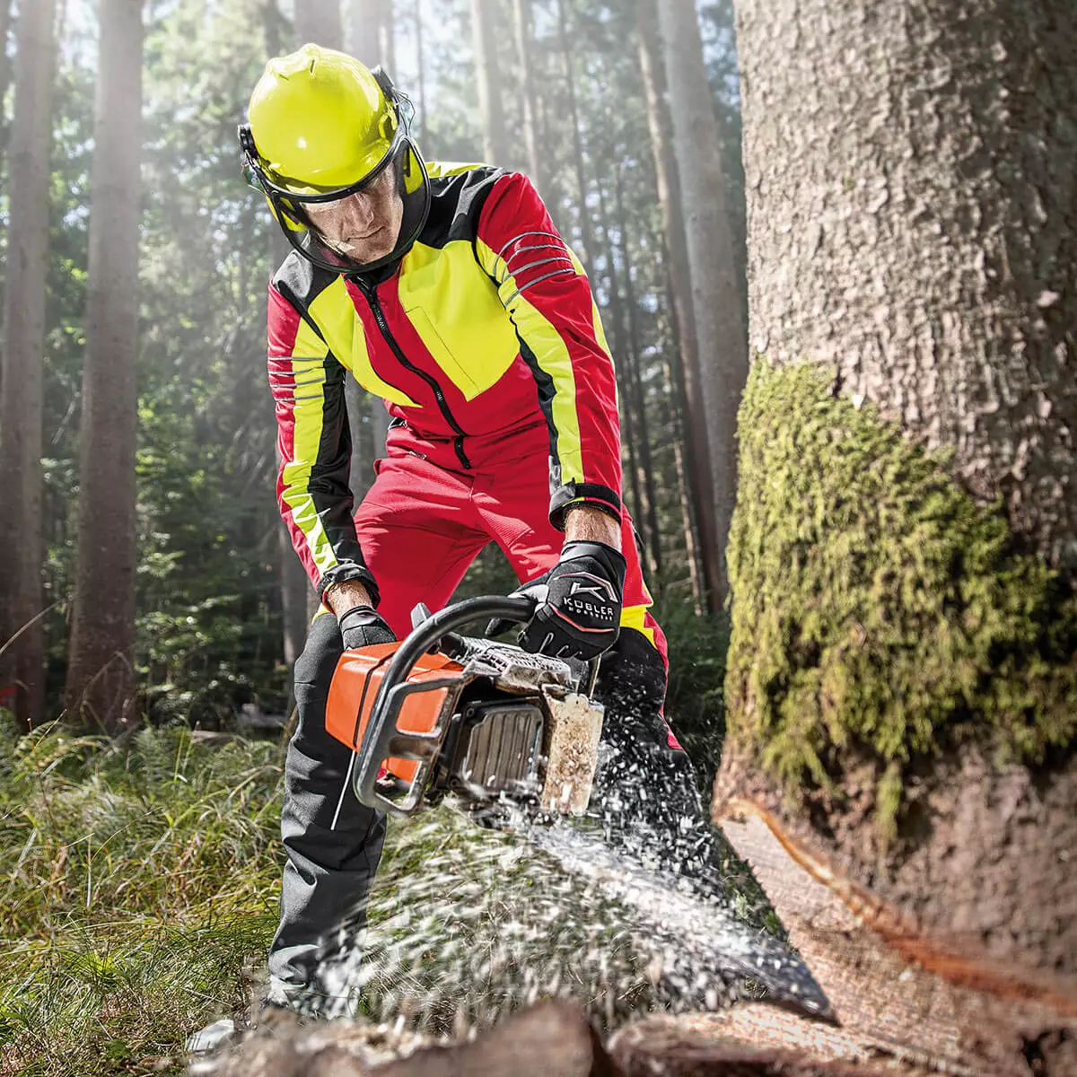 Kübler Forest Pro Schnittschutzhose Kl.2 - 3