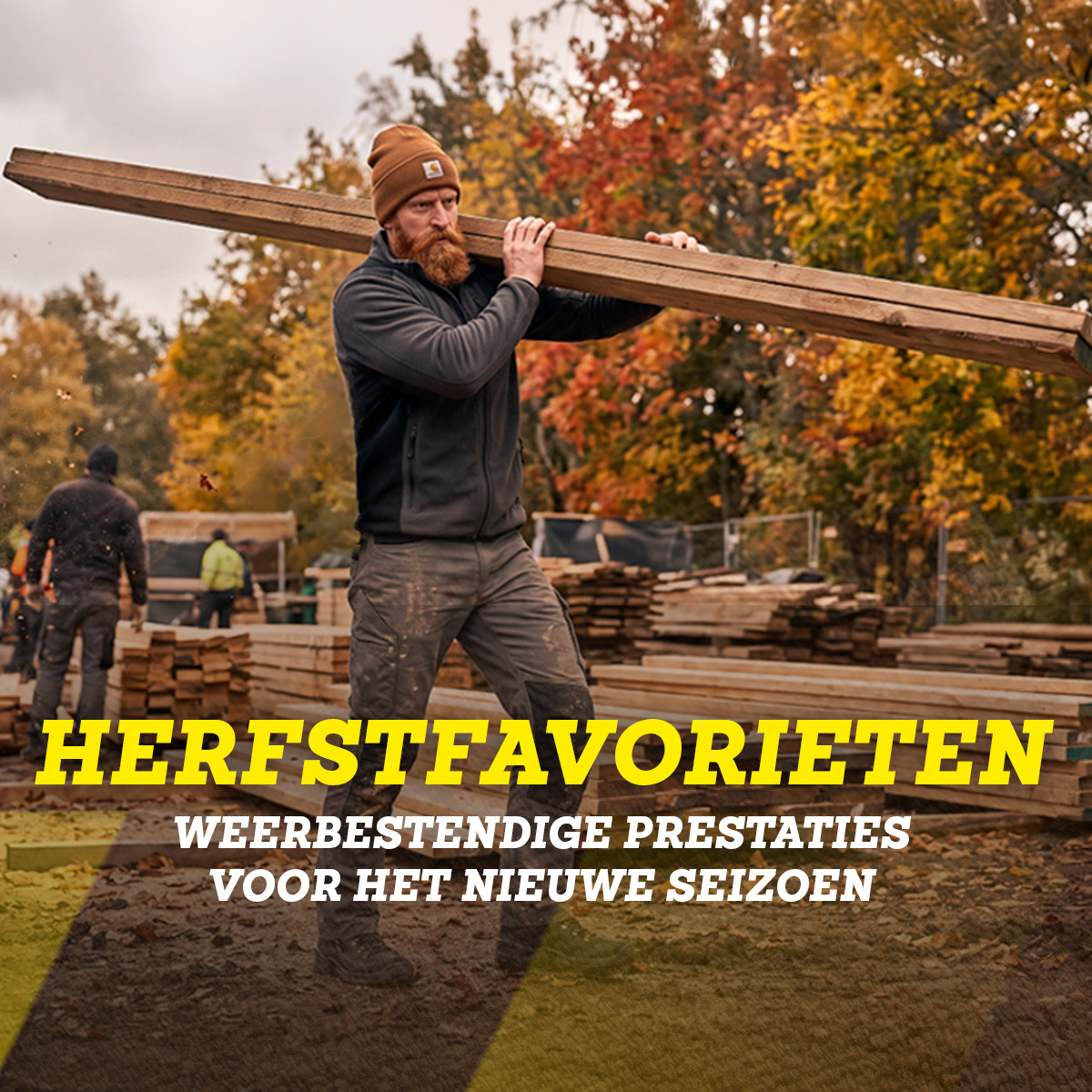 Holz, Länge Holz, Mitarbeiter Arbeit, Bauholz, Baustämmchen