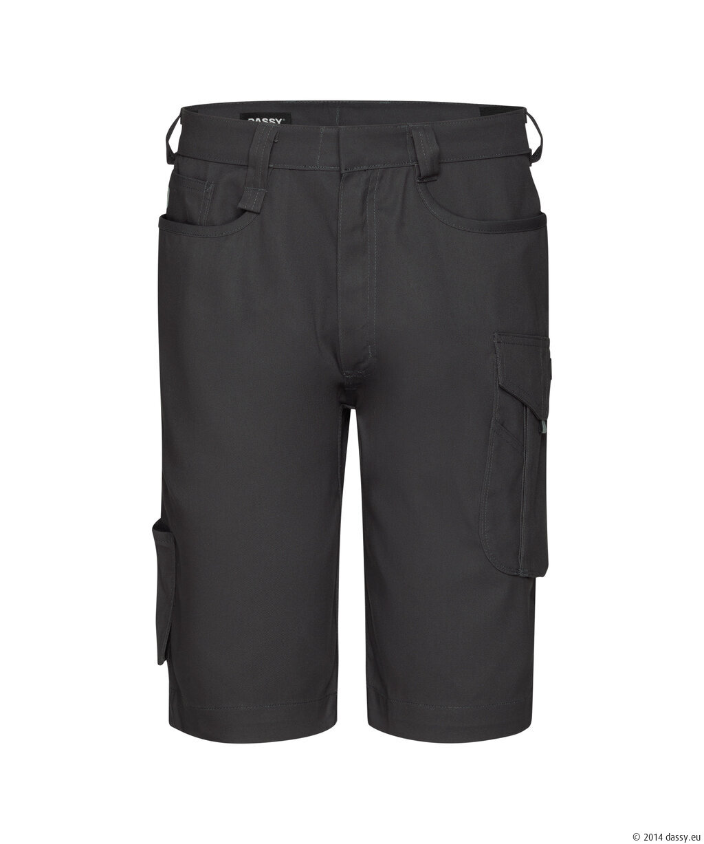 DASSY® Botta Flex Stretch-Arbeitsshorts - 1