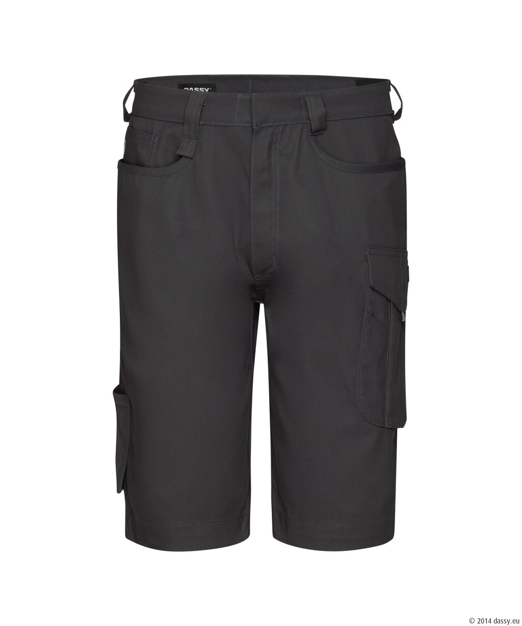 DASSY® Botta Flex Stretch-Arbeitsshorts - 1