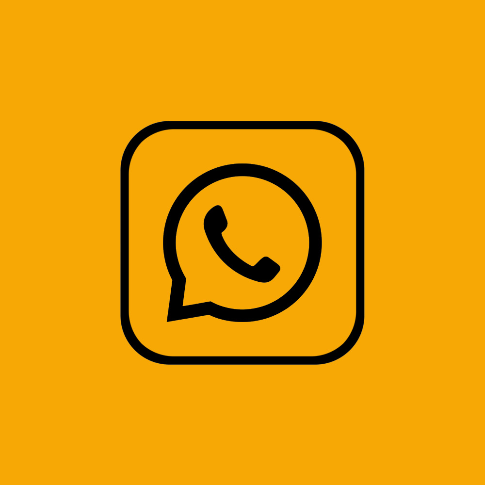 Whatsapp-Box mit grüner Umrandung und ikonischem Logo.