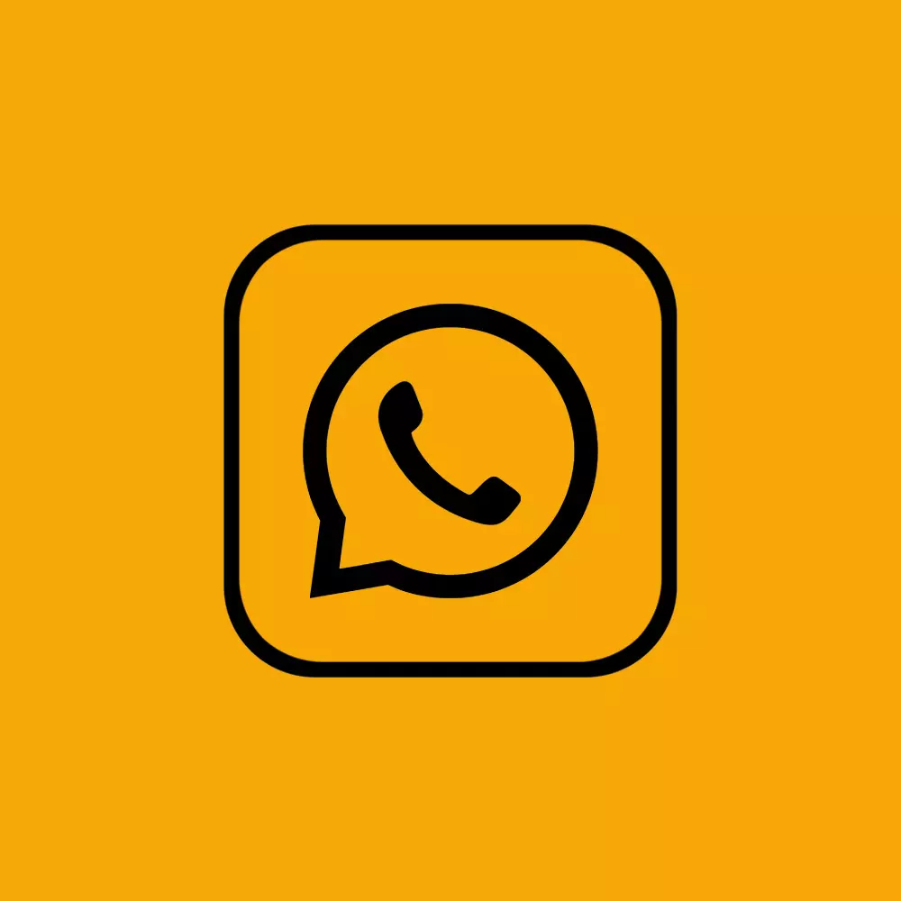 Whatsapp-Box mit grüner Umrandung und ikonischem Logo.