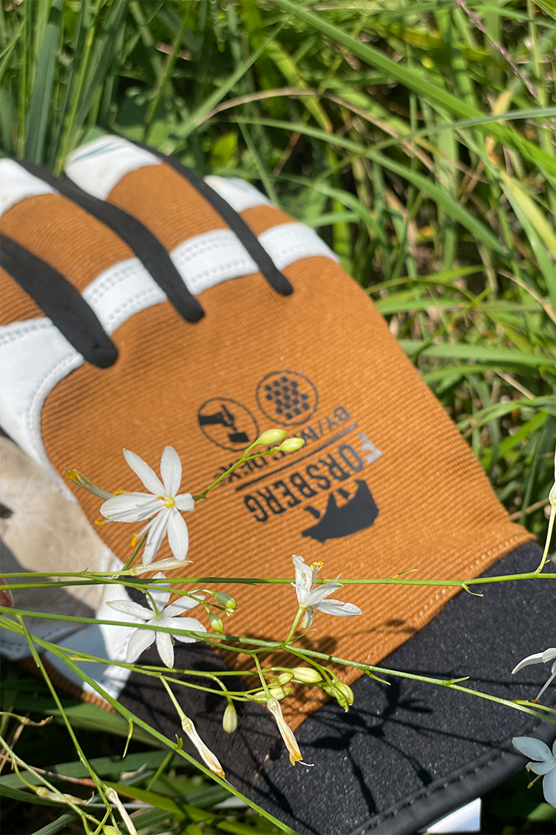 Bekleidung, Handschuh, Baseball, Baseball-Handschuh, Sport