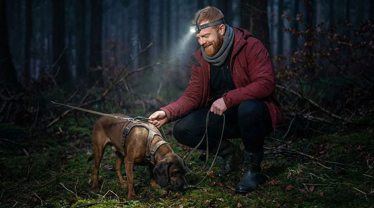 Hund, Schäferhund-Mischling, Gassi-Geh-Runde, Nacht, Halsband